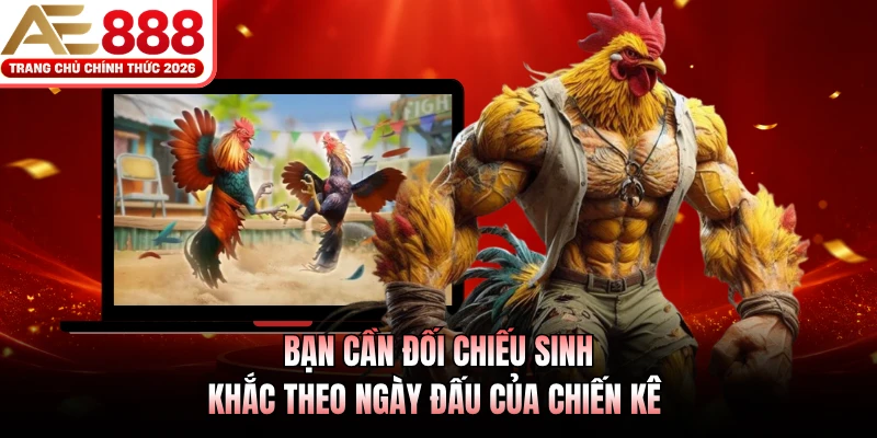 Bạn cần đối chiếu sinh khắc theo ngày đấu của chiến kê