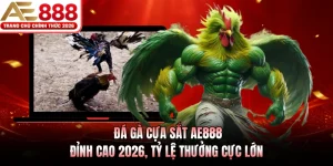 da ga cua sat ae888 dinh cao 2026 ty le thuong cuc lon