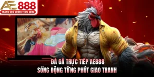 da ga truc tiep ae888 song dong tung phut giao tranh