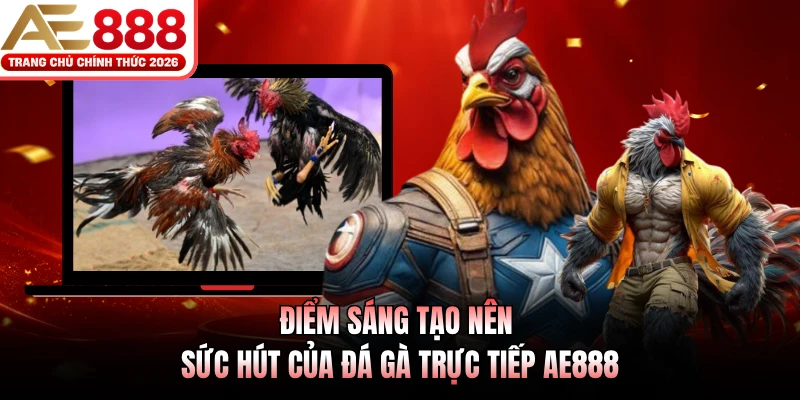 Điểm sáng tạo nên sức hút của đá gà trực tiếp AE888 