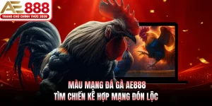 mau mang da ga ae888 tim chien ke hop mang don loc