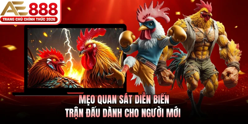 Mẹo quan sát diễn biến trận đấu dành cho người mới 