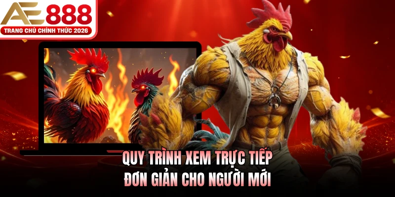 Quy trình xem trực tiếp đơn giản cho người mới 