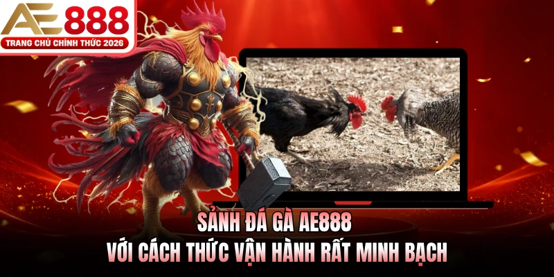 Sảnh đá gà AE888 với cách thức vận hành rất minh bạch